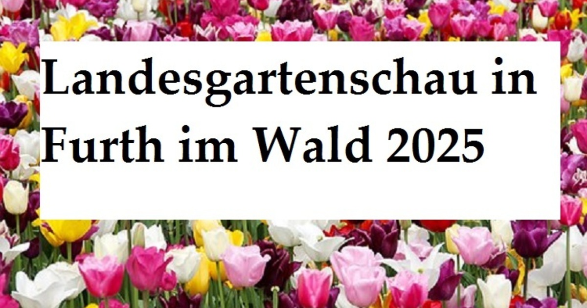 Furth im Wald richtet LaGa 2025 aus charivari