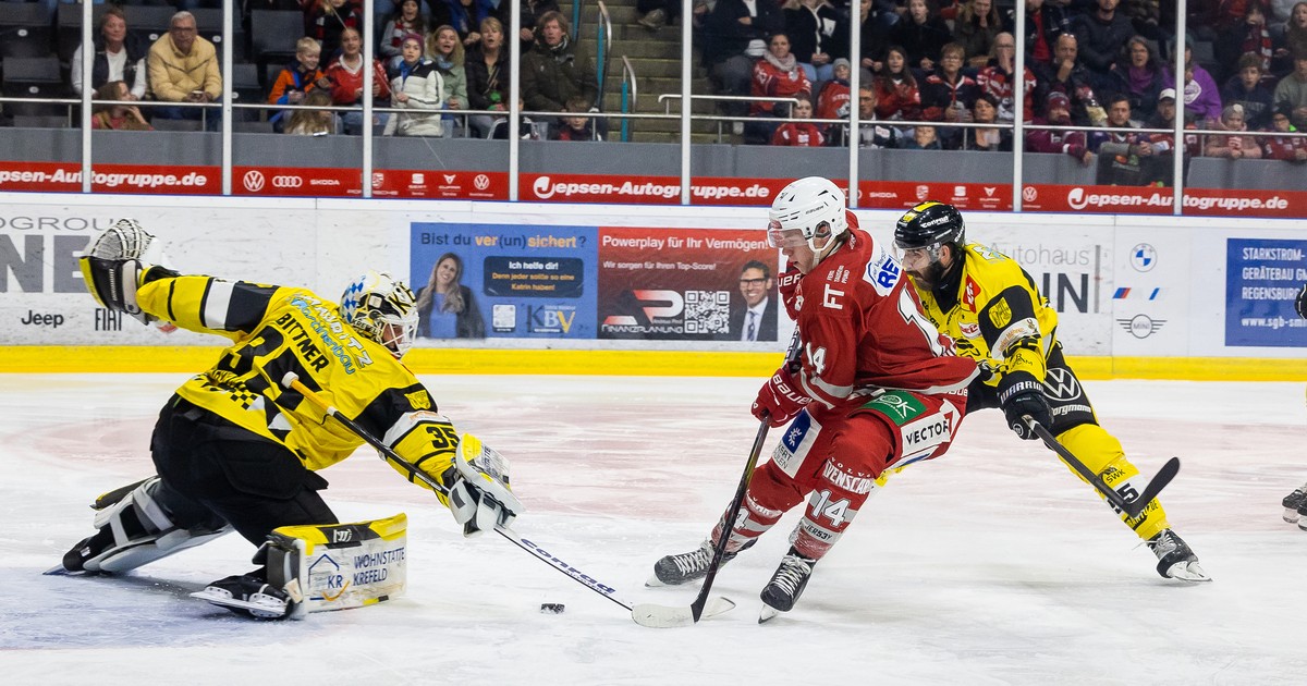 Eisb-ren-Regensburg-jetzt-drei-Spiele-in-f-nf-Tagen-