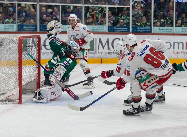 © Eisbären Regensburg // Andreas Nickl